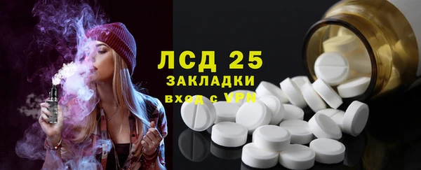 спайс Гусев