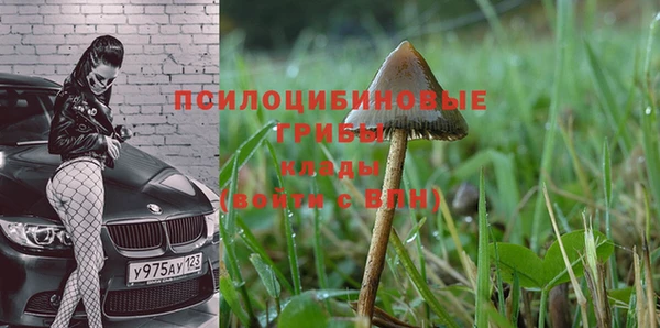 меф Гусиноозёрск