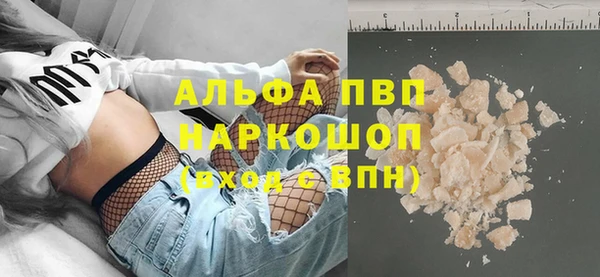 спайс Гусев
