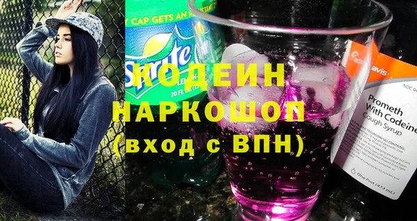 стаф Гусь-Хрустальный