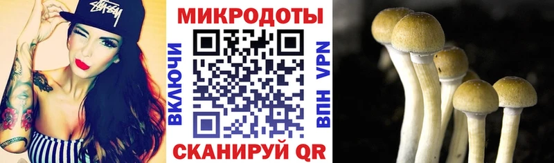 Галлюциногенные грибы мухоморы Таганрог